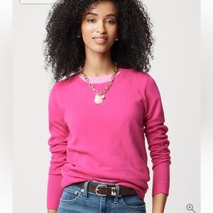 J. Crew Factory Cotton Teddie Light Knit Crewneck Sweater Watermelon Womens XL
